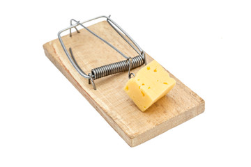 Piece of cheese in mousetrap. Isolated on white.