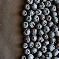 Freshly picked blueberries. Ripe and juicy fresh picked bilberries close up.