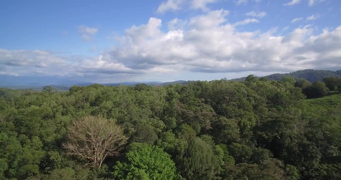Aerial, Reserva Forestal Golfo Dulce, Costa Rica