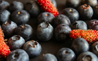 Freshly picked blueberries. Ripe and juicy fresh picked bilberries close up.