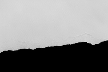 pieces of torn paper texture background, copy space.