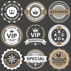 Vintage Retro Vector Logo for banner