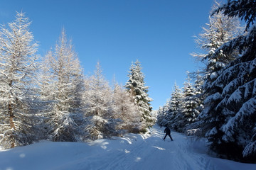 Trasy narciarskie w Górach Izerskich - Jakuszyce, Polska