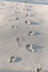 Traces Of Feet On A Sandy Beach In The Summer