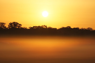 Obraz premium Quand le soleil et la brume font bon ménage