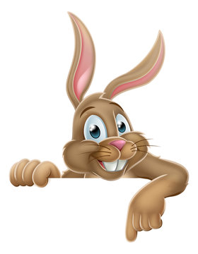Easter Bunny Rabbit Pointing Cartoon Sign