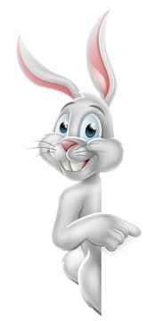 Cartoon Easter Bunny Rabbit Pointing 