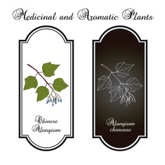 Alangium chinense, medicinal plant