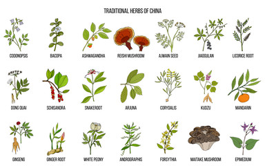 Fototapeta premium Chinese traditional medicinal herbs
