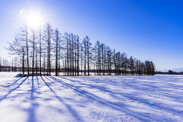 十勝平野の雪景色