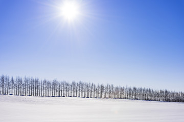 十勝平野の雪景色