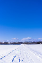 Fototapeta na wymiar 北の大地の白い雪道