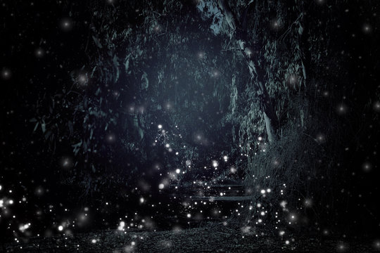 Fototapeta Abstract and magical image of Firefly flying in the night forest. Fairy tale concept.