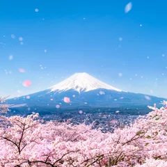 Türaufkleber Berg Fuji im Frühling mit Kirschblüten, Japan © eyetronic