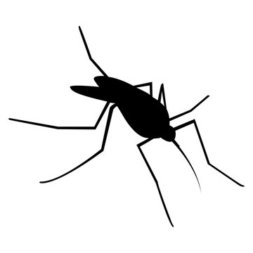 Vector image of a mosquito silhouette on a white background
