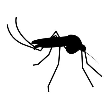 Vector image of a mosquito silhouette on a white background
