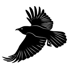 Vector image of silhouette of a raven flying on a isolated white background