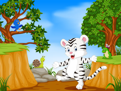 white tiger and bird with mountain cliff scene
