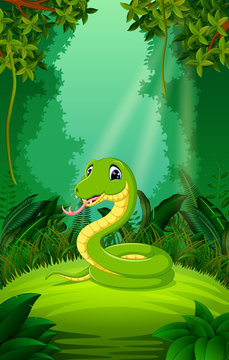 Snake in the clear and green forest