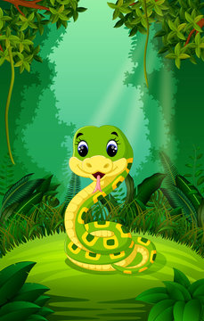Snake in the clear and green forest