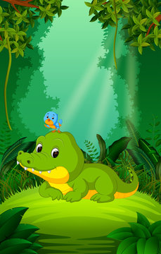 crocodile and bird in the clear and green forest