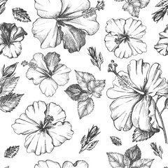 Decorative seamless pattern with ink hand-drawn Tropical hibiscus flowers and leaves. Vector illustration. © olga_zaripova