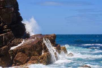 Fototapeta premium Cape of Good Hope, South Africa
