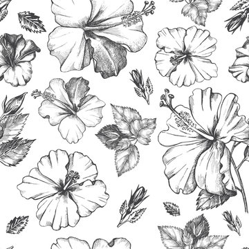 Decorative seamless pattern with ink hand-drawn Tropical hibiscus flowers and leaves. Vector illustration.