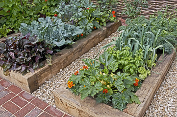 Flower and vegetables planted in raised beds on an allotment