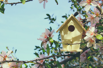 Little birdhouse in spring over blossom cherry tree.