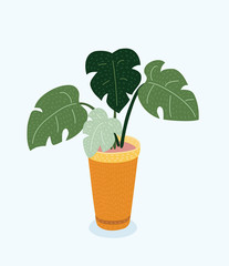 Monstera plant in pot. Hand drawn vector illustration on white background.