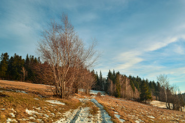 Polną drogą © Arsky