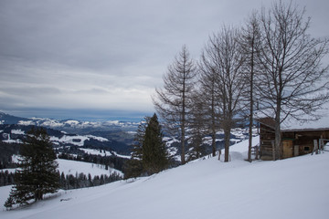 Obraz premium Bilder eines Schneetages in der Schweiz