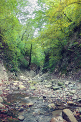 Мамедово ущелье. Россия, Краснодарский край, поселок Лазаревское. Горная река в лесу