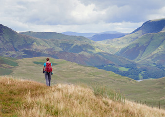 A female hiker walking off the summit of Great Borne towards Loweswater Fell in the English Lake District, UK.