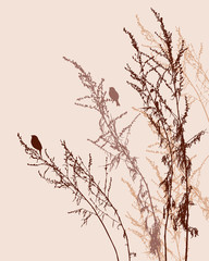Silhouettes of birds on meadow plants