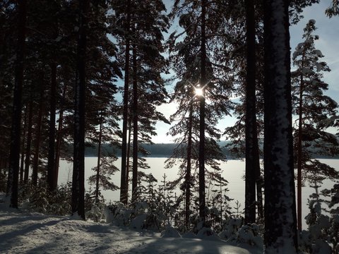Malingarna in der N&auml;he von Ludvika, Dalarna