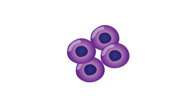 cancer cells in a growing tumor graphic animation