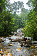Waterfall in Sinharaja rainforest