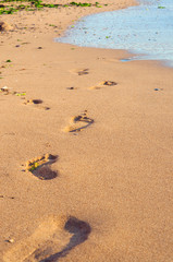 Fototapeta na wymiar sand beach leaving footprints with foam at sunset time