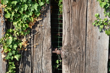 Zoom on an old wooden fence