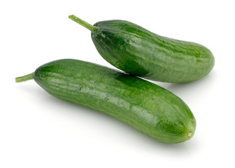 Cucumber