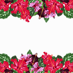 horizontal frame with hibiscus