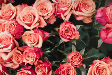 Spray of orange, red and apricot pastel multi-colored roses with large blossoms at a market stall of a florist vendor at the farmers' market