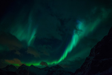 Northern lights (Aurora borealis). Norway, Lofoten 