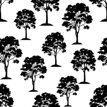 Seamless Pattern, Maple Tree, Black Silhouette Isolated on Tile White Background. Vector