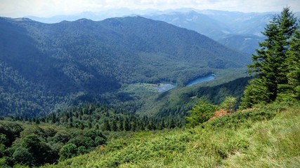 Fototapeta na wymiar Laghi di montagna circondati da foreste in un parco nazionale nei Balcani in Montenegro.