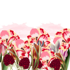 Beautiful floral illustration with spring flowers