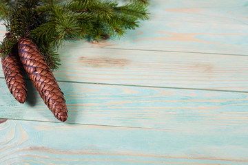 Christmas background with spruce branches