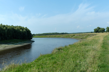 View of the river bank and wood